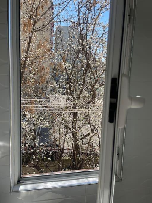Warm Apartment In The Center Of Tirana City Exteriör bild
