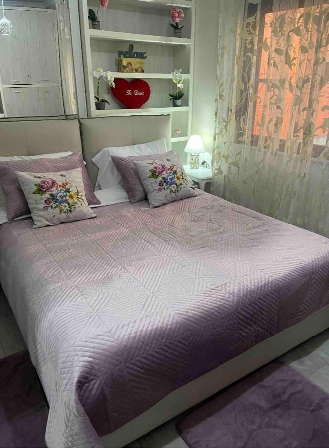 Warm Apartment In The Center Of Tirana City Exteriör bild